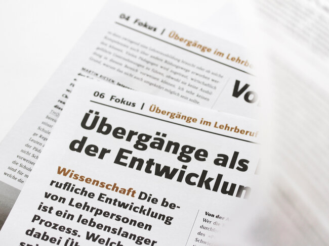 Typografie Branding Luzern