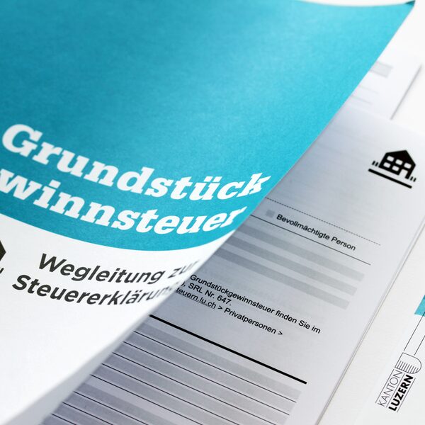 Steuererklärung Luzern Corporate Design