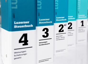 Branding Luzerner Steuerbuch
