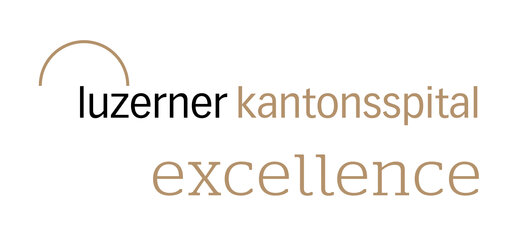 Branding Luzern Logo Excellence
